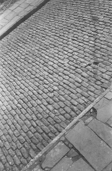 WALKER EVANS