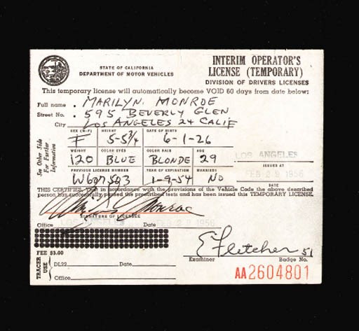 DRIVER'S LICENSE