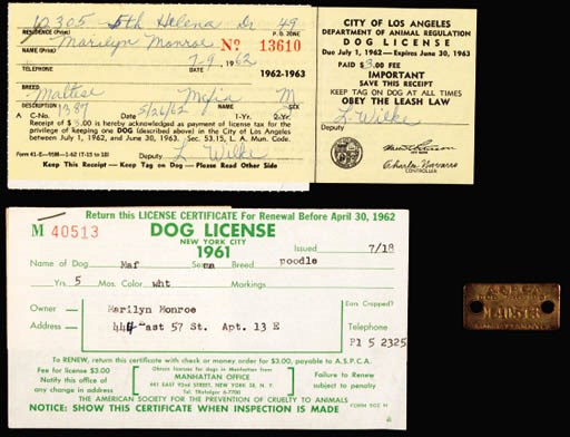 DOG TAG AND LICENSE FOR "MAFIA"