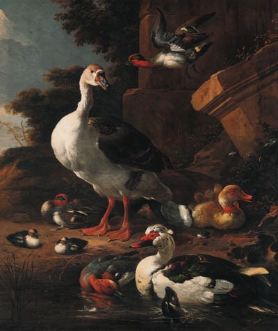 Melchior de Hondecoeter (Utrecht 1636-1695 Amsterdam)