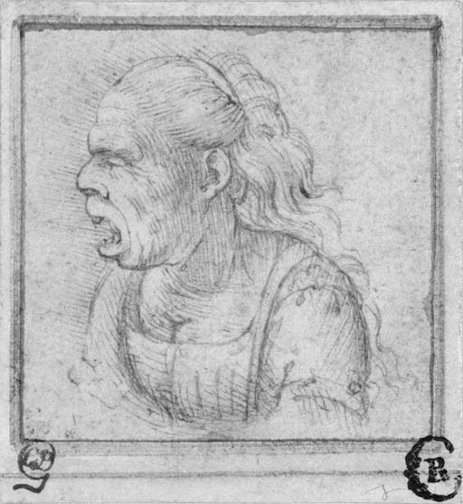 Follower of Leonardo da Vinci (1452-1519)