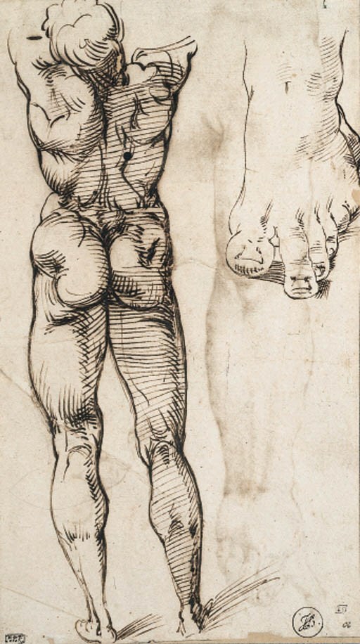 Bartolomeo Passarotti (1529-1592)