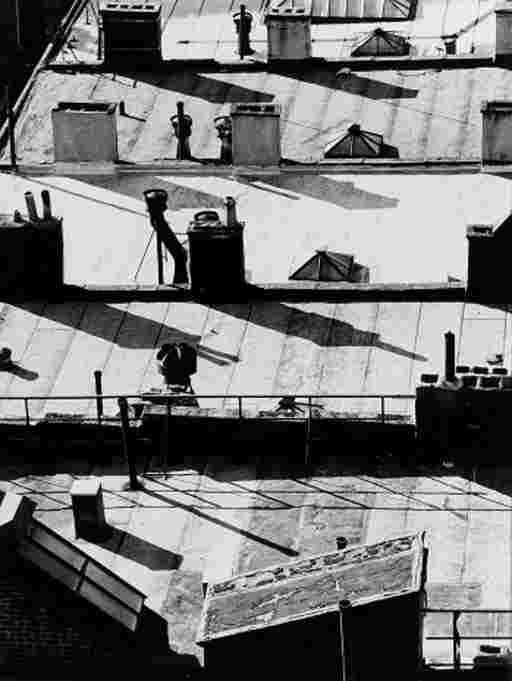 ANDREAS FEININGER