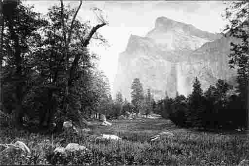 CARLETON E. WATKINS
