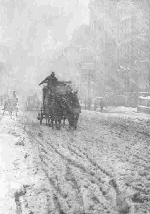 ALFRED STIEGLITZ