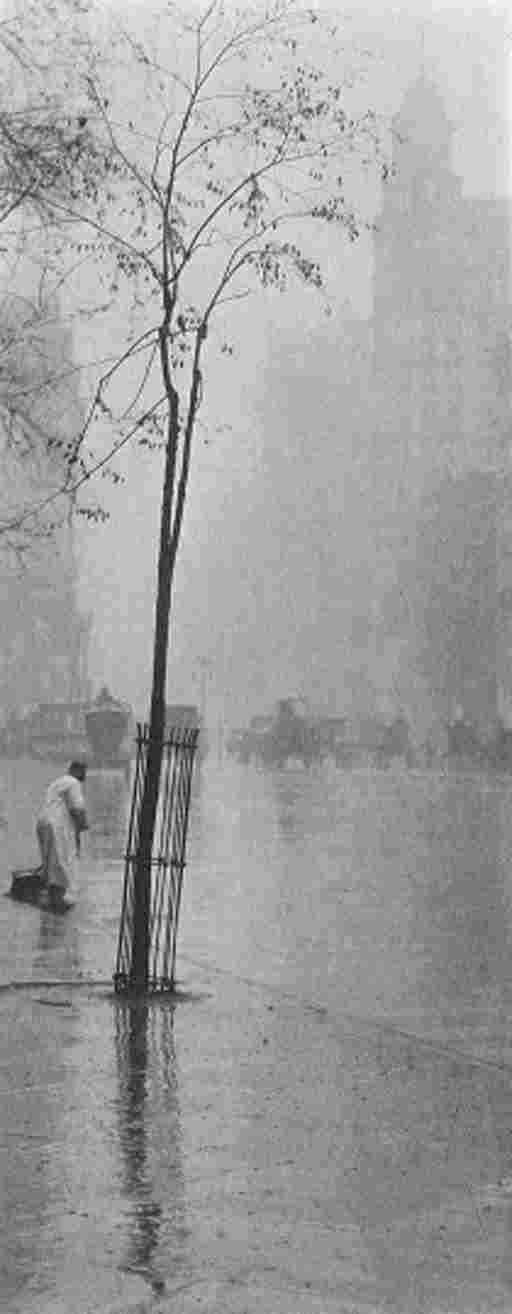 ALFRED STIEGLITZ