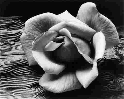 ANSEL ADAMS