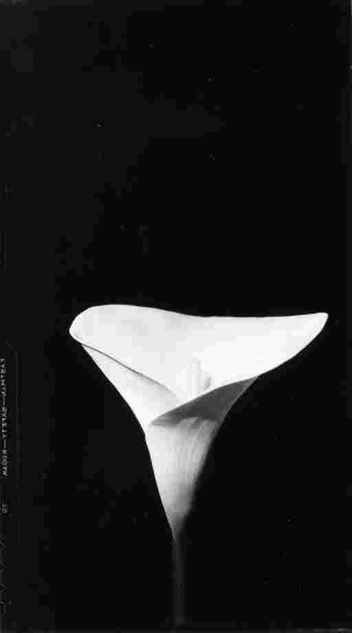 CECIL BEATON