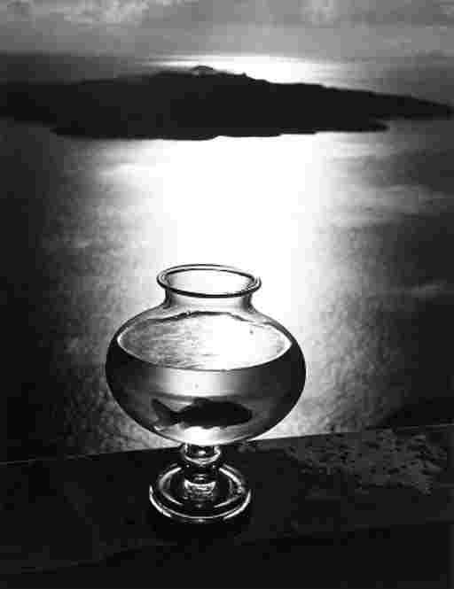HERBERT LIST