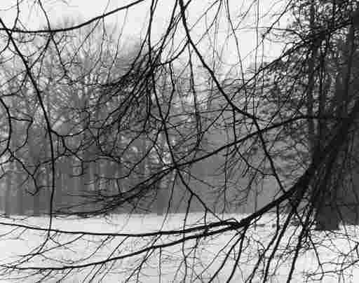 JOSEF SUDEK