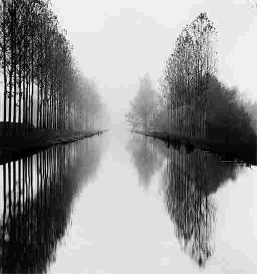 MICHAEL KENNA