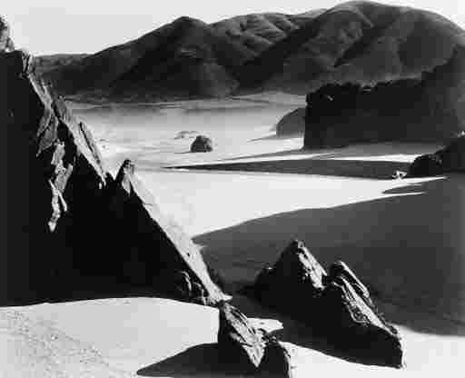BRETT WESTON