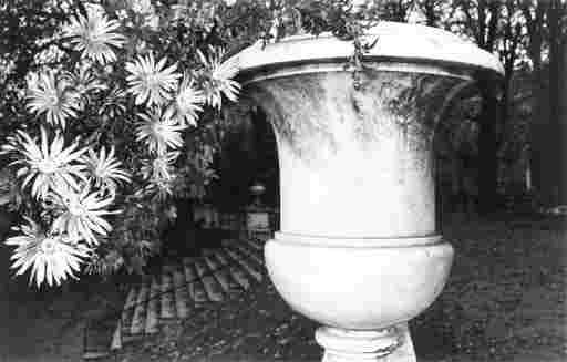 LEE FRIEDLANDER