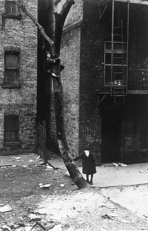 HELEN LEVITT (born 1913)