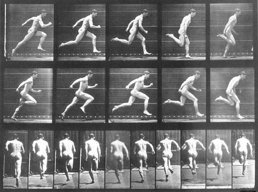 EADWEARD MUYBRIDGE (1830-1904)