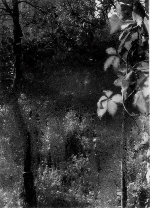 JOSEF SUDEK