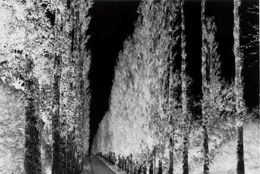 MAURICE TABARD