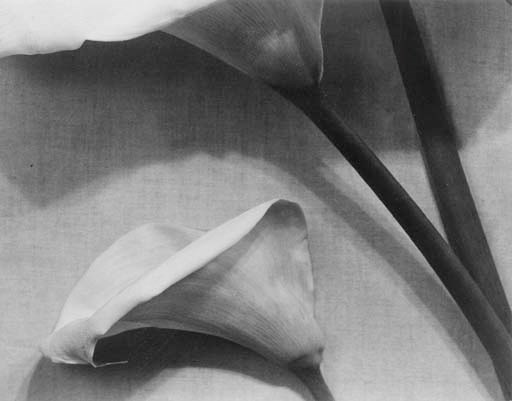 JOHN VANDERPANT