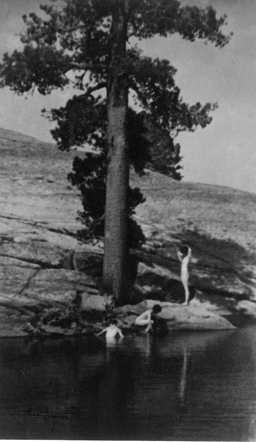 ANNE BRIGMAN