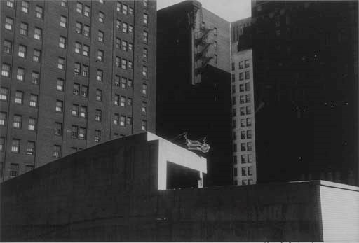 ROBERT FRANK