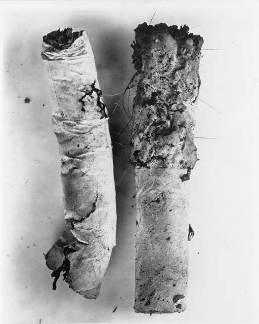 IRVING PENN