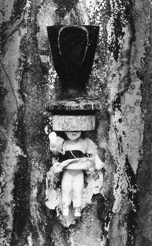 FREDERICK SOMMER