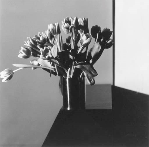 ROBERT MAPPLETHORPE (1946-1989)