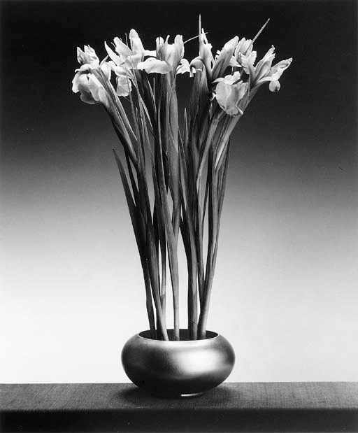 ROBERT MAPPLETHORPE