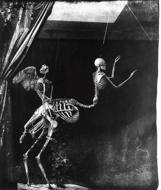 JOEL-PETER WITKIN