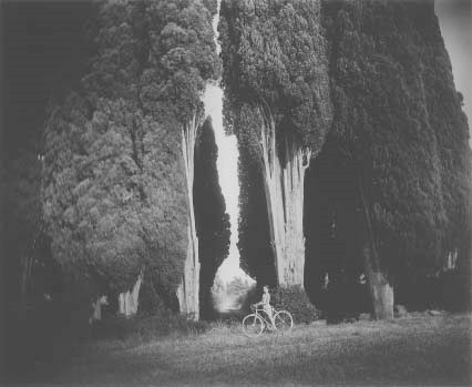 SALLY MANN