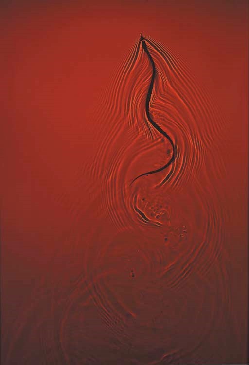 ADAM FUSS