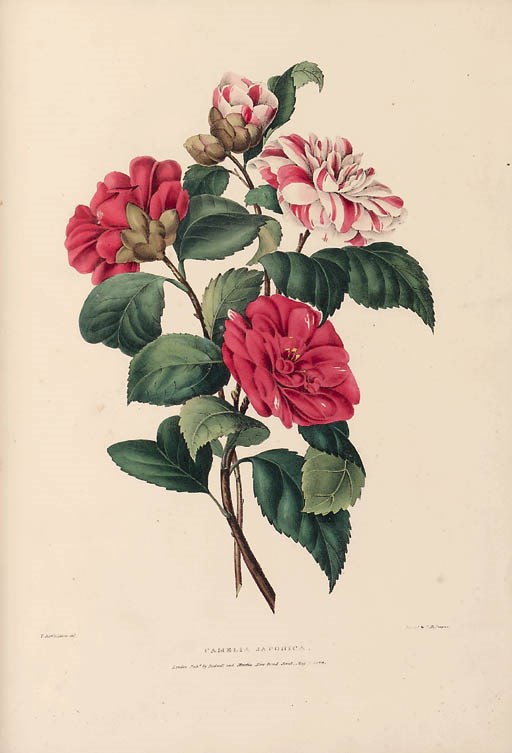 Valentine Bartholomew (1799-1879)