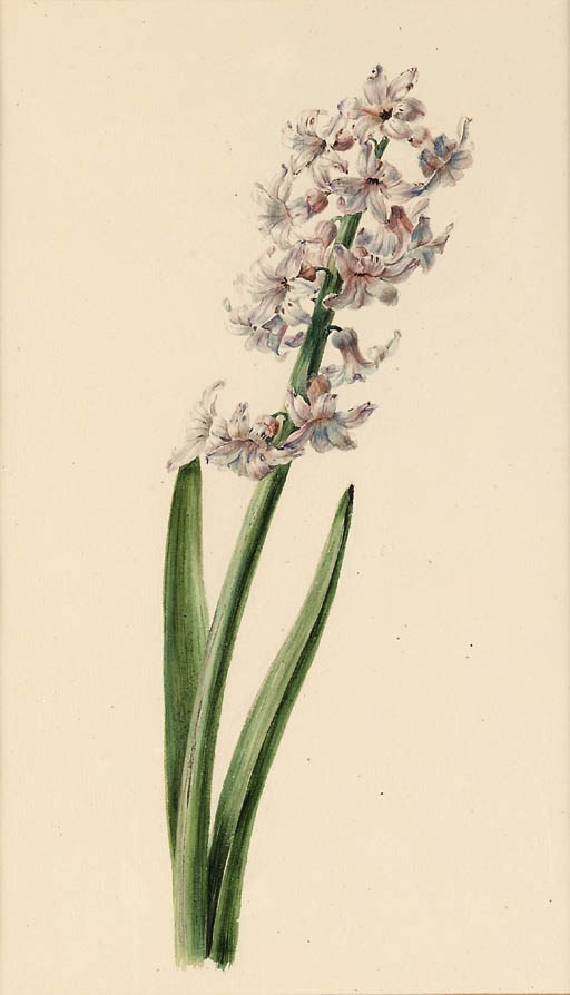 Franz Xavier Gruber (1801-1862)