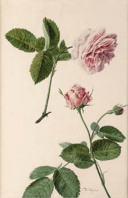 Michiel van Huysum (fl.1729-1769)