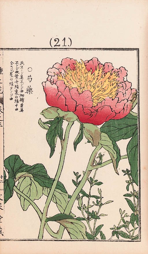 Japanese School, 19th century