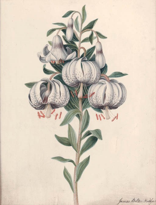 James Bolton (1735-1799)