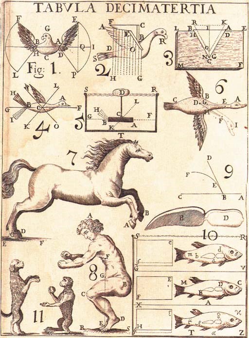 BORELLI, Giovanni Alfonso (1608-1679).  De motu animalium.  Rome: Angelo Bernabo, 1680-81.