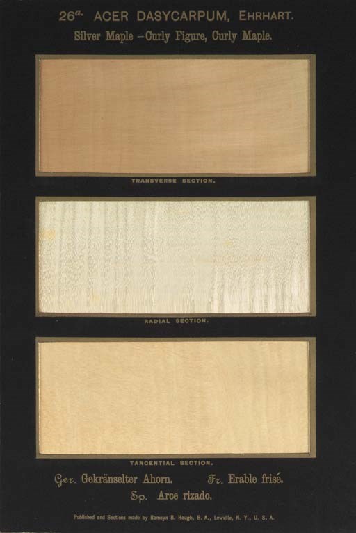 HOUGH, Romeyn Beck (1857-1924). The American Woods, exhibited by actual specimens and with copious explanatory text. Lowville, NY: by the author, 1893-1904.