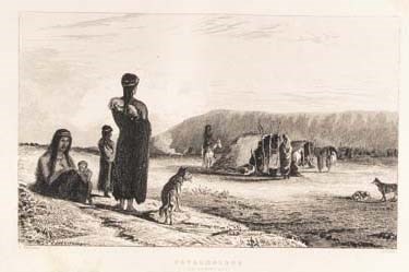 DARWIN, Charles (1809-1882), Capt. Robert FITZROY (1805-1865), and Capt. Philip Parker KING (1793-1856).  Narrative of the Surveying Voyages of His Majesty's Ships Adventure and Beagle, between the Years 1826 and 1836, describing their Examination of the Southern Shores of South America, and the Beagle's Circumnavigation of the Globe. London: Henry Colburn, 1839.
