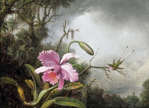 Martin Johnson Heade (1819-1904)