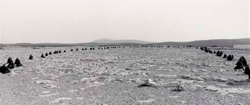 Shirin Neshat (b. 1957)