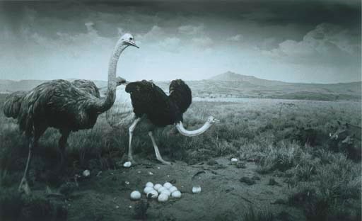 Hiroshi Sugimoto (b. 1948)