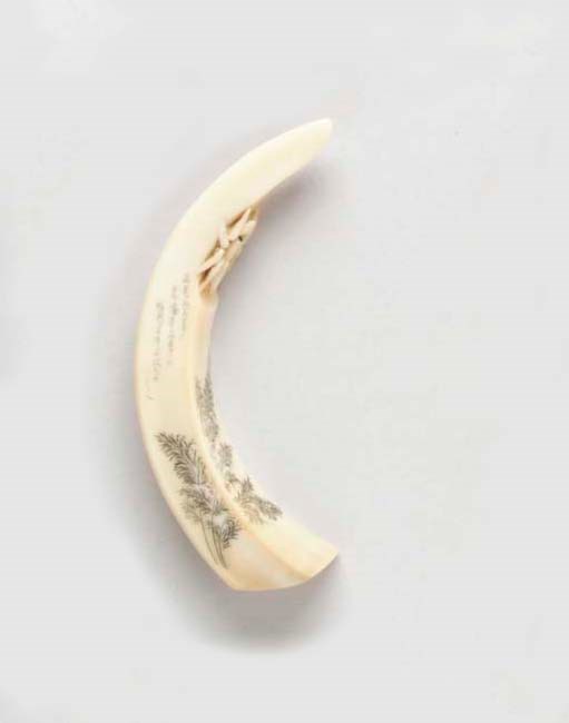 A Boar's Tusk Netsuke**