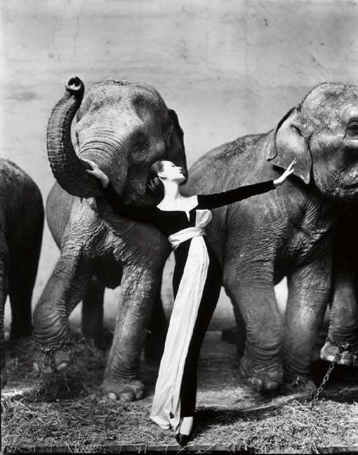 RICHARD AVEDON (BORN 1923)