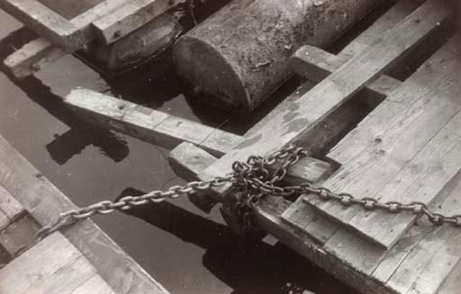 ILSE BING