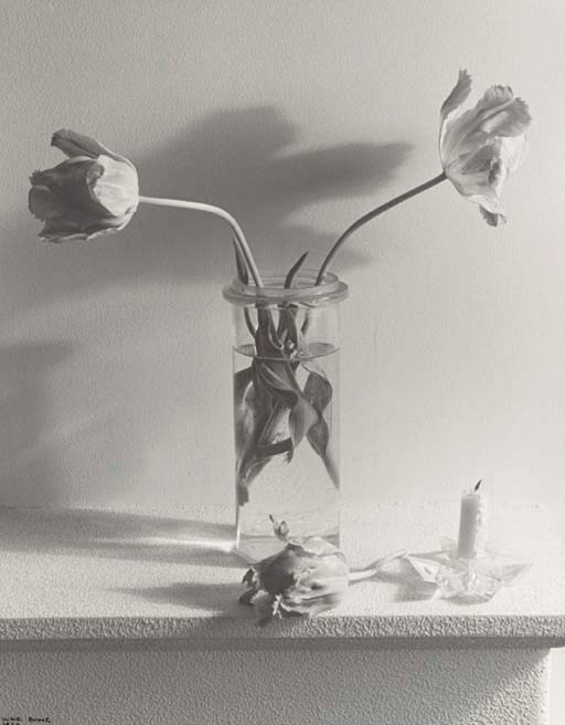 ILSE BING