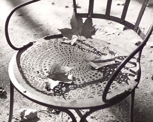 ILSE BING