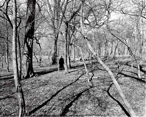 HARRY CALLAHAN