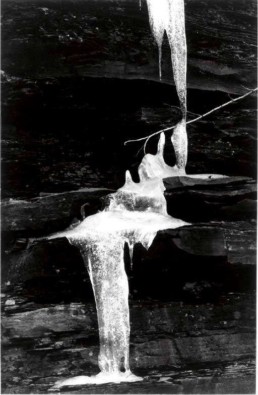 MINOR WHITE (1908-1976)