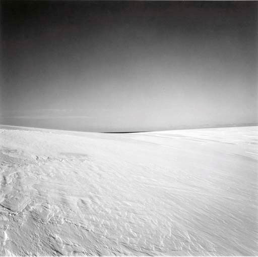 HARRY CALLAHAN